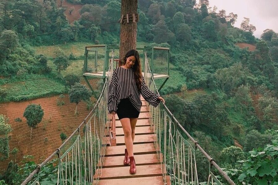 2 in 1 Tour: Avocado Farm + Private Tour in Antigua Guatemala