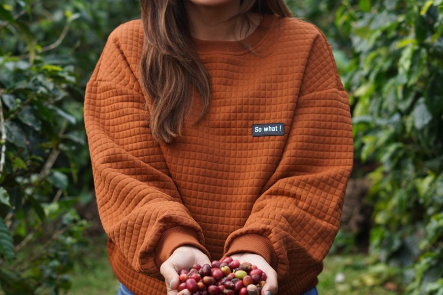 Visit a Coffee Plantation + an Orchid Sanctuary – Full Day Tour From Coban