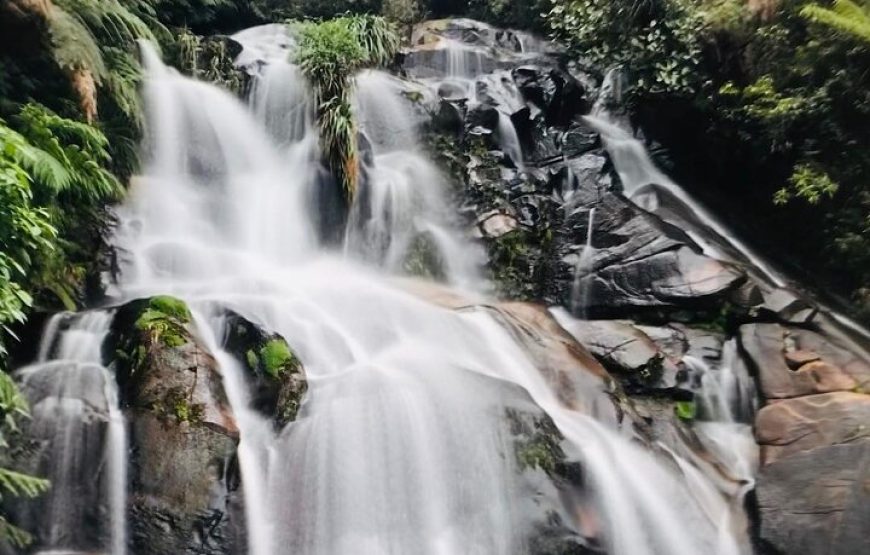 Chilasco Waterfall: A Natural Wonder in the Cloud Forest- Tour from Coban