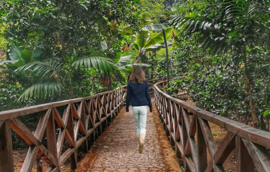 Visit 6 Cultural Towns Around Antigua Guatemala + a Macadamia Farm in 1 day!