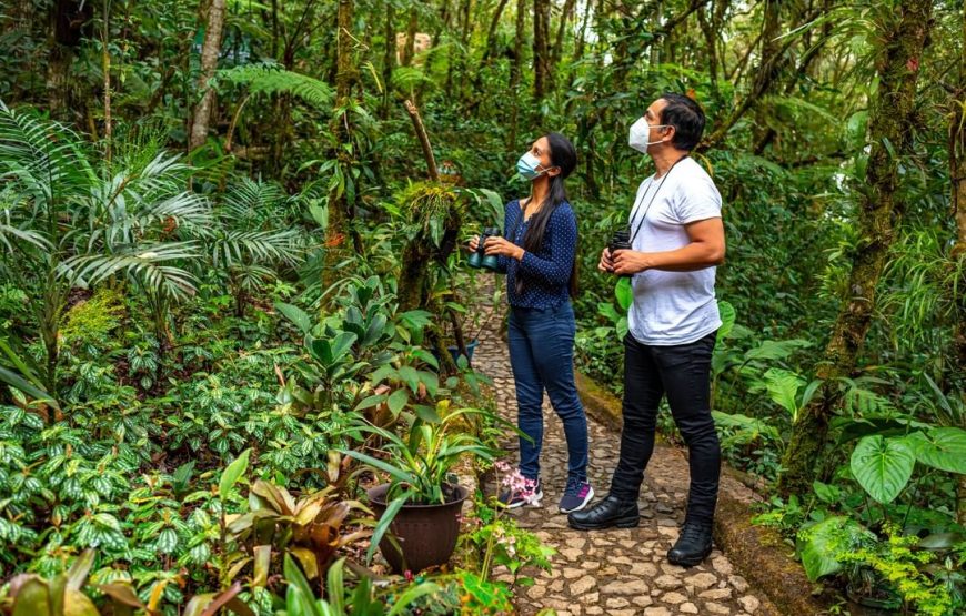Visit The Greatest Orchid Sanctuary: Orquigonia – Half Day Tour from Coban