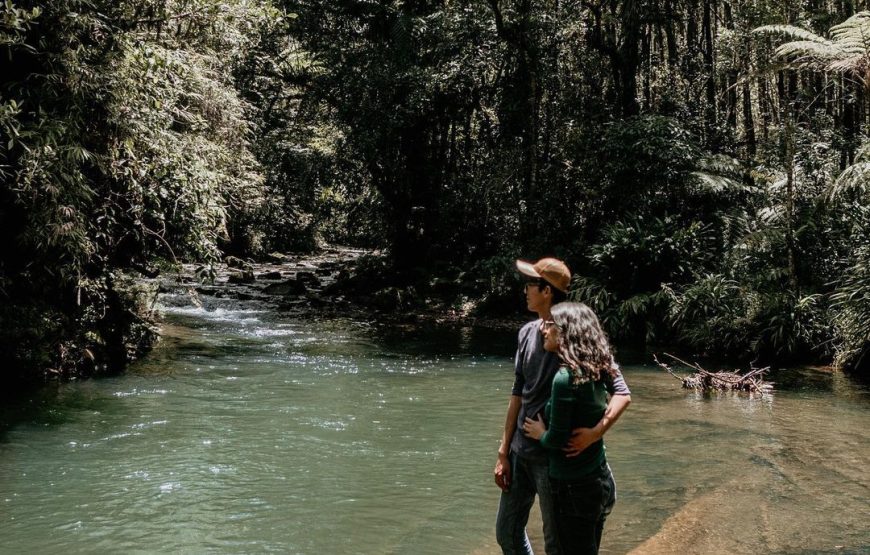 Discover Ram Tzul, a Great Natural Reserve – Tour from Coban with Lunch Included