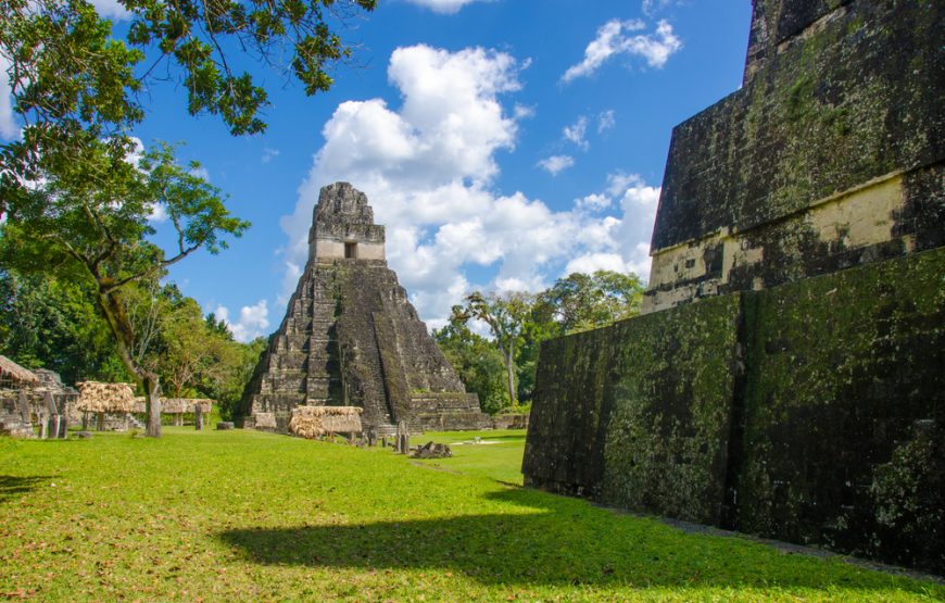 Visit the Heart of the Mayan Kingdom: Tikal, on a 1-day Tour from Guatemala City