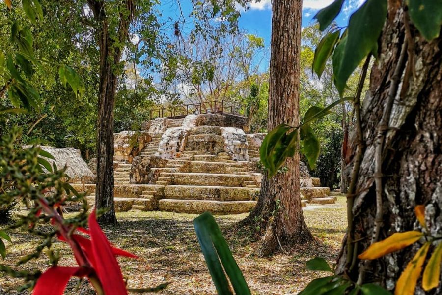 4-Day Maya Trek to 3 Archeological Sites from Flores: Uaxactún + Tikal + El Zotz