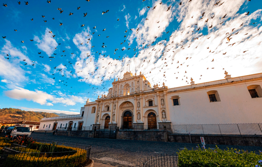 Private Walking Tour in Antigua Guatemala + Coffee Plantation Experience