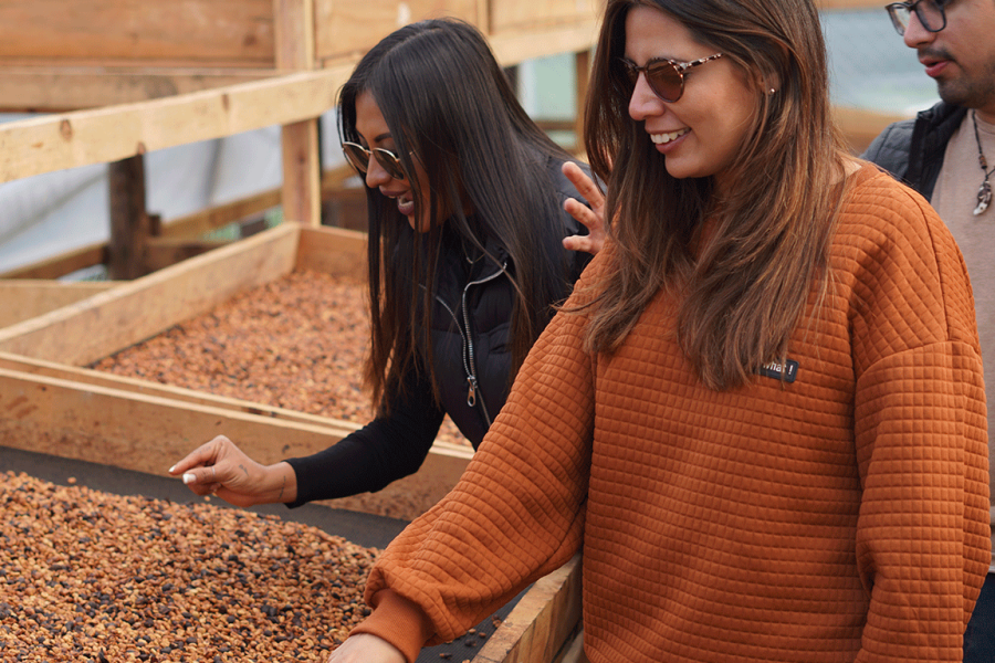 Half-Day Coffee Tour at a Coffee Plantation + Coffee Tasting