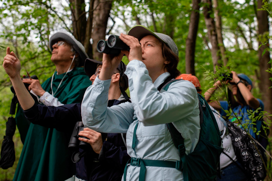 El Quetzal Birdwatching Tour from Guatemala City – Guatemala’s National Bird