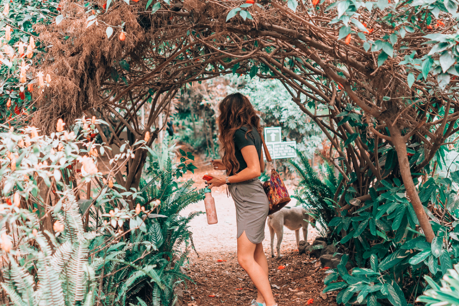 Macadamia Farm & Facial Massage + Antigua Guatemala Private Tour