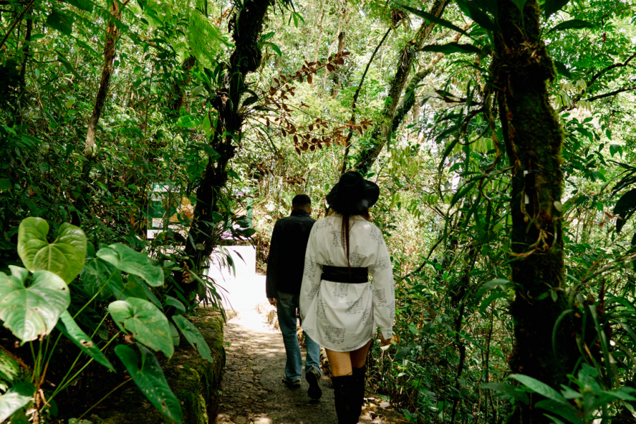 Visit The Greatest Orchid Sanctuary: Orquigonia – Half Day Tour from Coban
