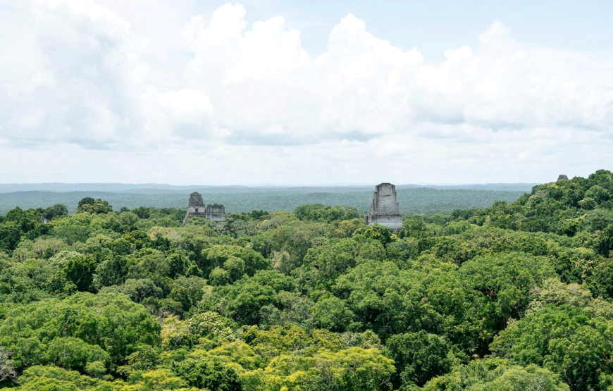 Tikal: The Greatest Mayan Kingdom – Full-Day Private Tour from Flores Peten