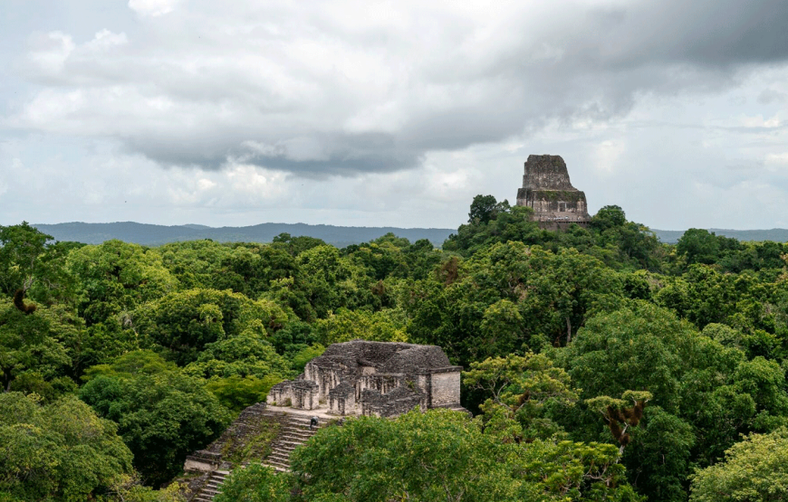 Tikal: The Greatest Mayan Kingdom – Full-Day Private Tour from Flores Peten