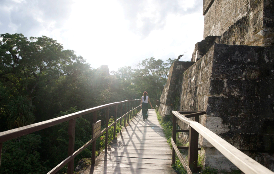 Tikal: The Greatest Mayan Kingdom – Full-Day Private Tour from Flores Peten