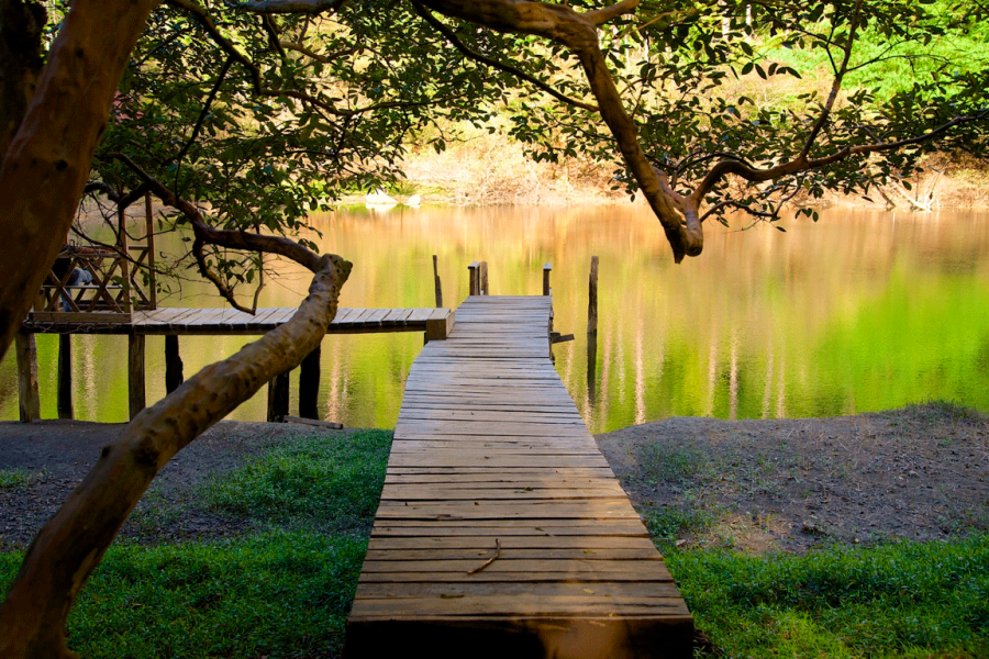 Visit the National Park Las Victorias on a Half-Day Tour from Cobán