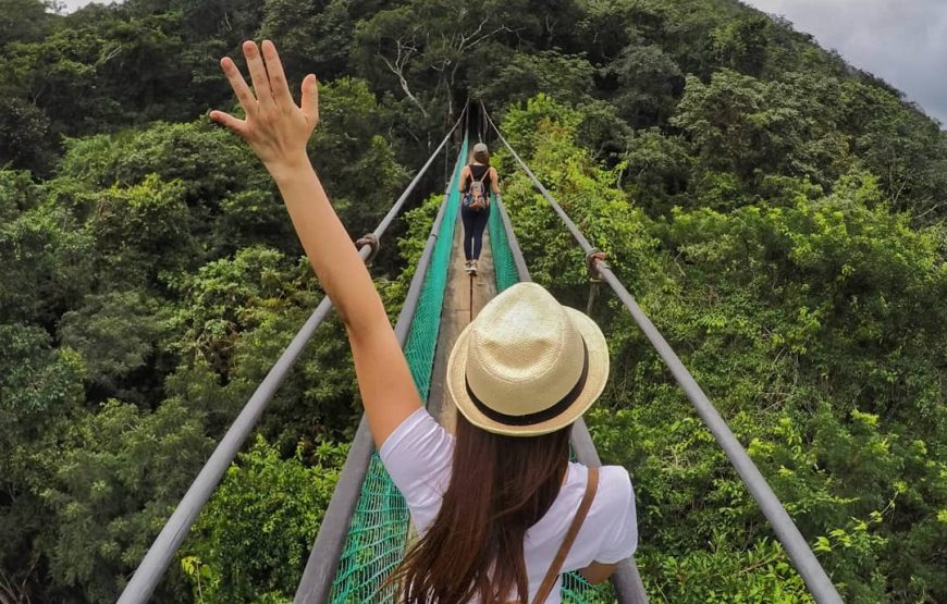 Visit Ixpanpajul: Jungle, Trekking, Hanging Bridges & Canopy – Tour from Flores