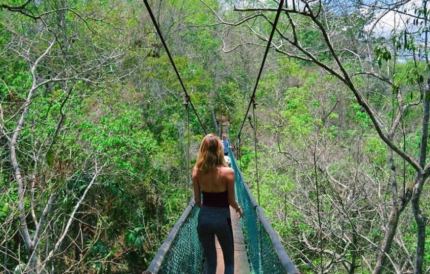 Visit Ixpanpajul: Jungle, Trekking, Hanging Bridges & Canopy – Tour from Flores