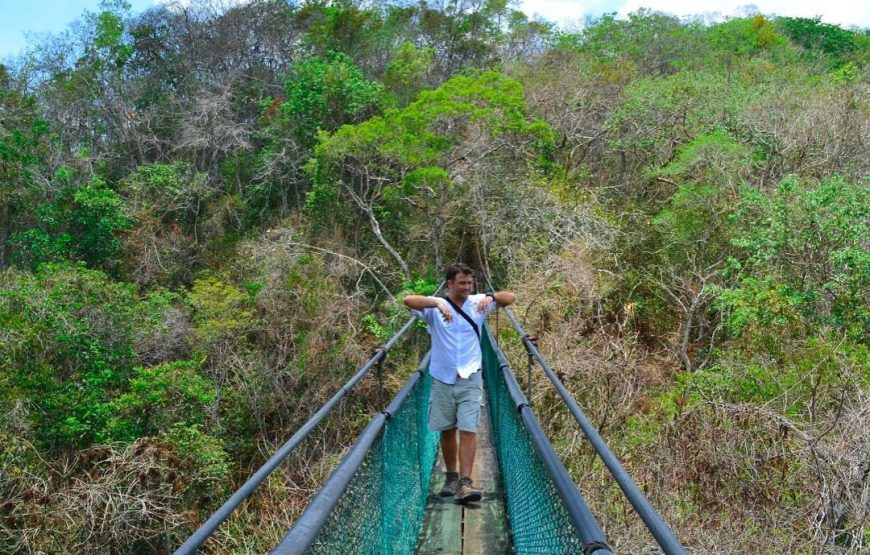 Visit Ixpanpajul: Jungle, Trekking, Hanging Bridges & Canopy – Tour from Flores