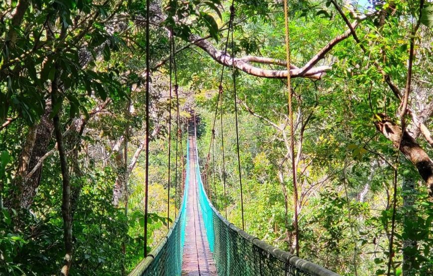 Visit Ixpanpajul: Jungle, Trekking, Hanging Bridges & Canopy – Tour from Flores