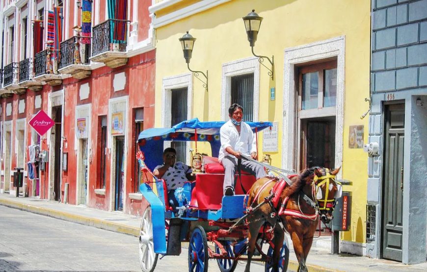 Private Tour to Merida & its Traditional Gastronomy
