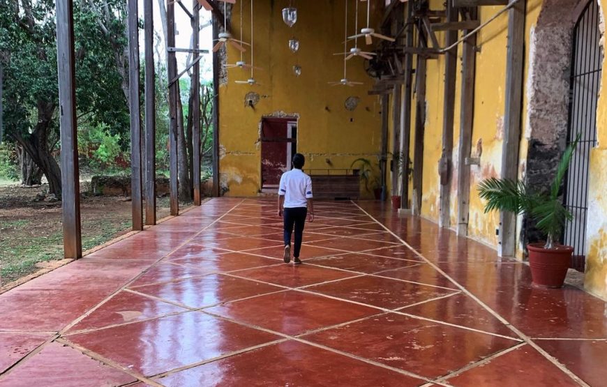 Tour through 3 Haciendas & 2 Cenotes in Merida: The Essence of Yucatan