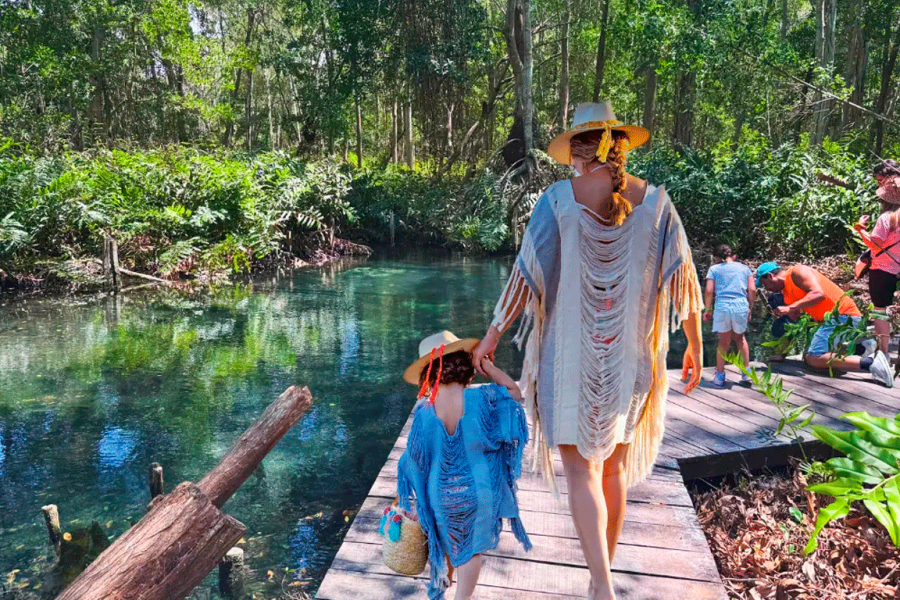 Watch Flamingos, Alligators, & Pelicans up close in this Tour to Celestun