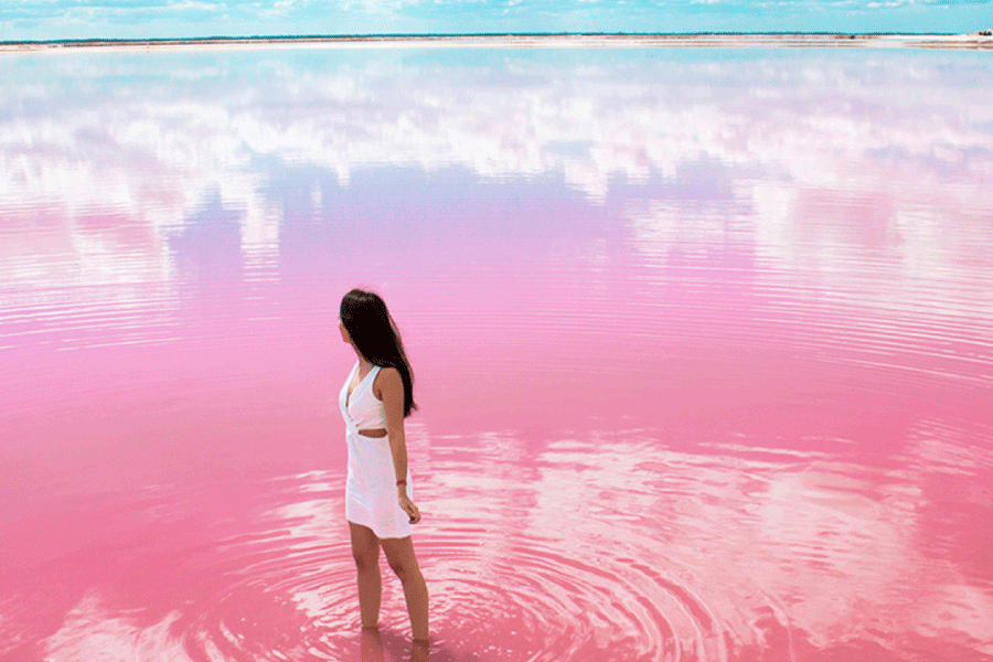 Visit the Pink Lagoons of Las Coloradas + The Lagartos River