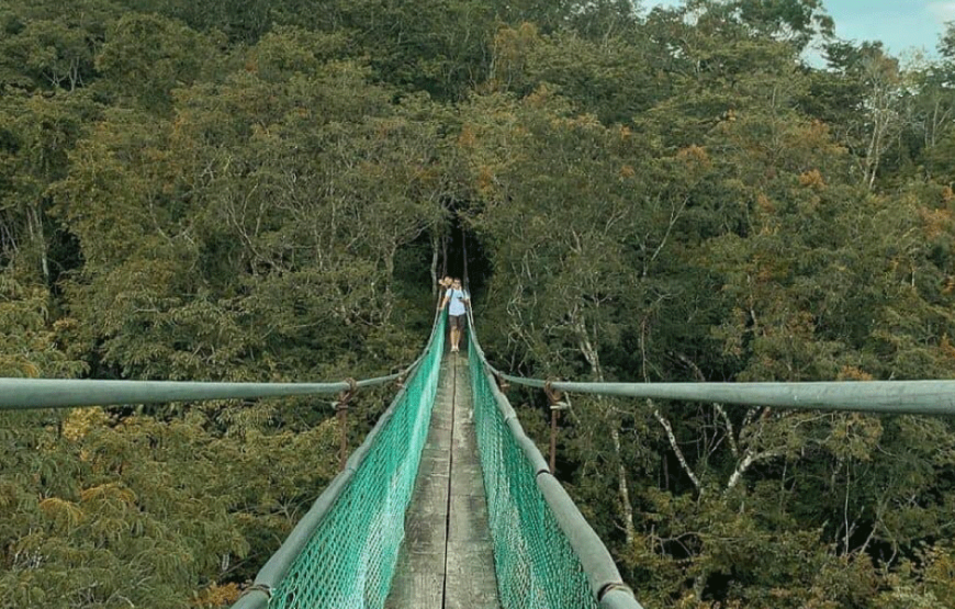 Visit Ixpanpajul: Jungle, Trekking, Hanging Bridges & Canopy – Tour from Flores