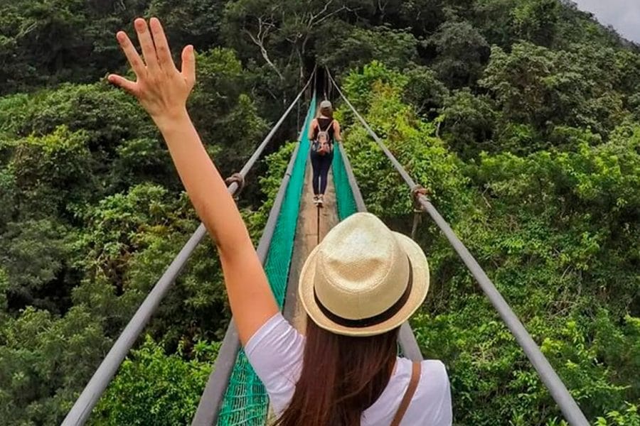 Visit Ixpanpajul: Jungle, Trekking, Hanging Bridges & Canopy – Tour from Flores