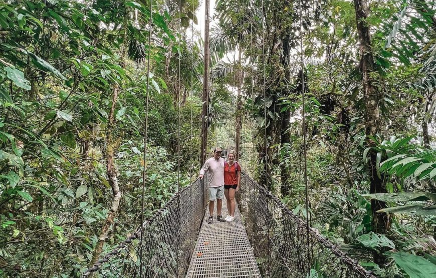 Arenal Volcano + Hot Springs + Hanging Bridges Adventure in Nature