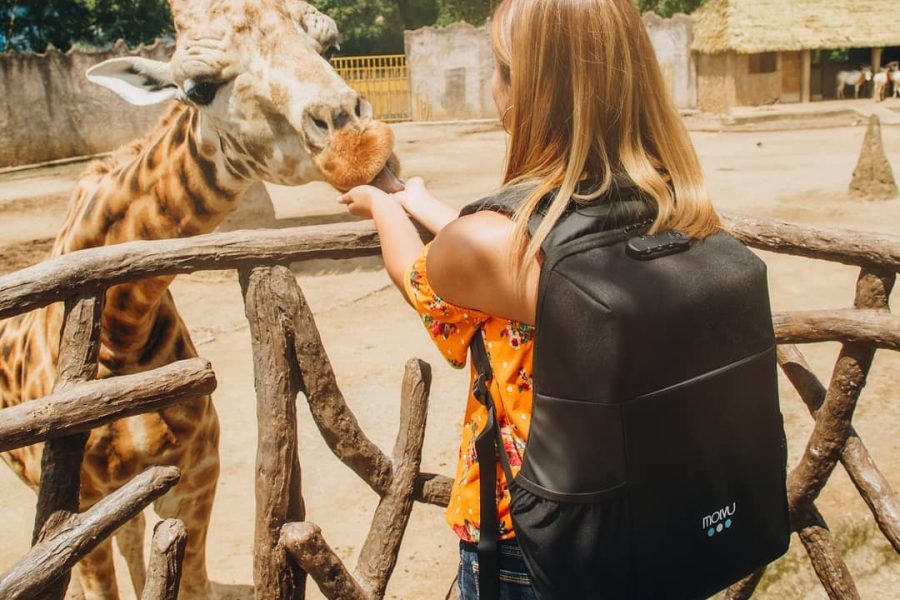Feed The Zoo Animals Yourself: Interactive Experience – Half Day Tour with Lunch