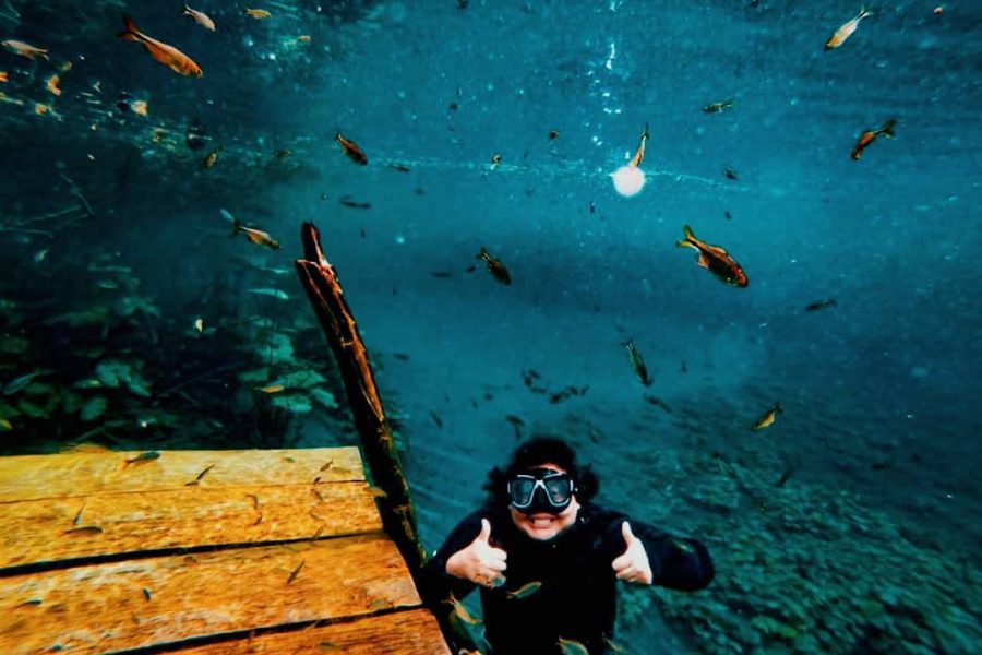 Discover “Crater Azul” & Its Crystal-Clear Waters on A Full-Day – Tour from Flores