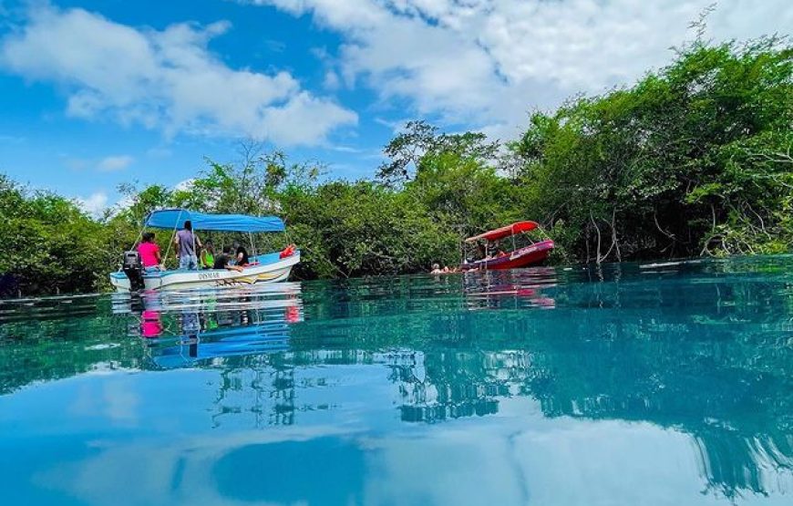 Discover “Crater Azul” & Its Crystal-Clear Waters on A Full-Day – Tour from Flores