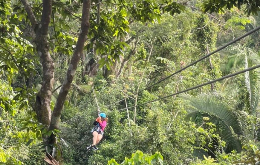 Full Day Jungle Zipline with Cave Tubing at Jaguar Paw Nature Park