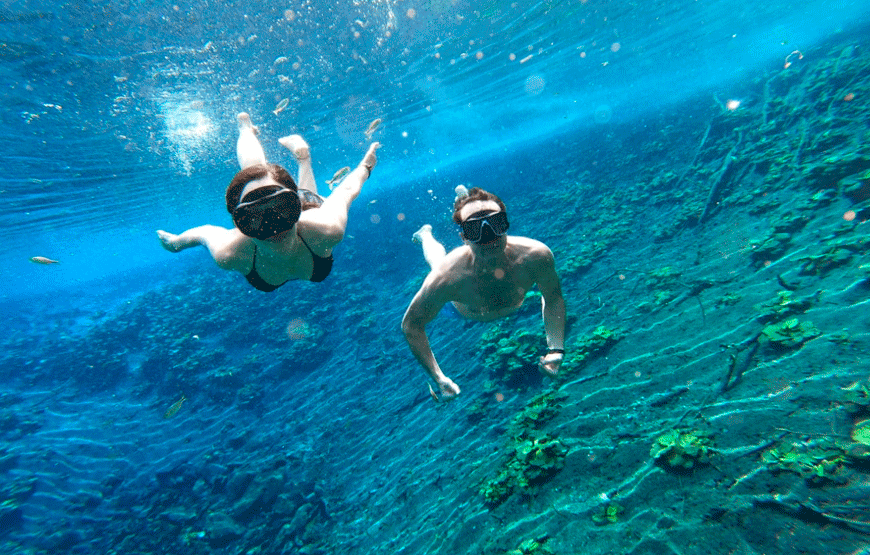 Discover “Crater Azul” & Its Crystal-Clear Waters on A Full-Day – Tour from Flores