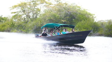 Observe Howler Monkeys, Manatees & Other Wildlife in The Monkey River Tour