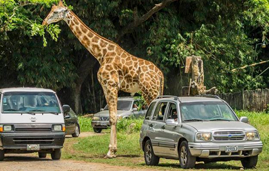 Private Wildlife Auto Safari Adventure in Guatemala
