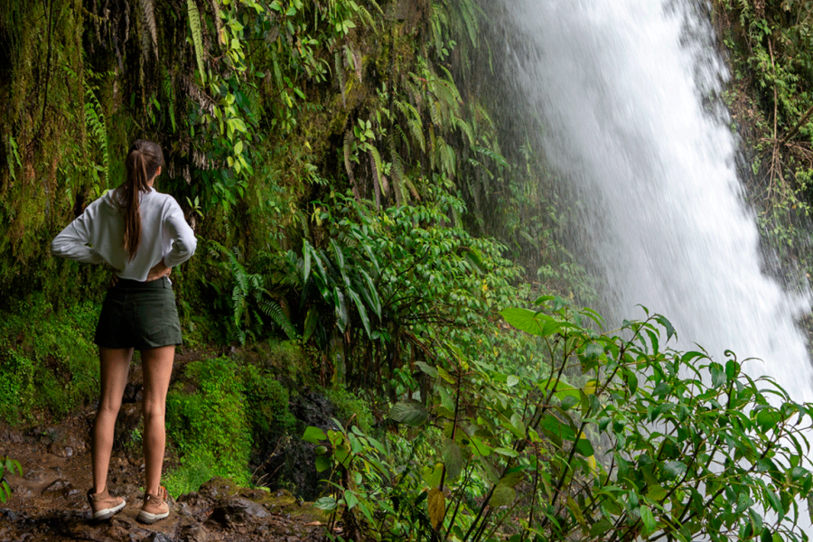 Quest to Poas Volcano, La Paz Waterfalls, a Coffee Plantation
