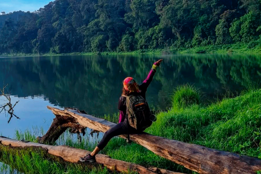 Private Xela Wellness Immersion in Guatemala – Forest or Farm Option