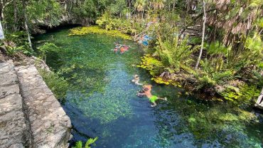 Adventure to 3 Cenotes in the Akumal Jungle