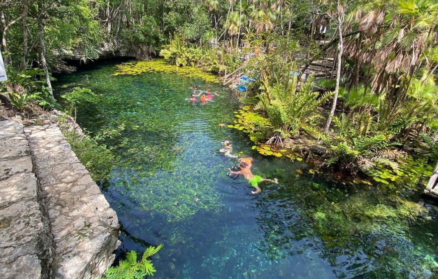 Adventure to 3 Cenotes in the Akumal Jungle – 26325P246