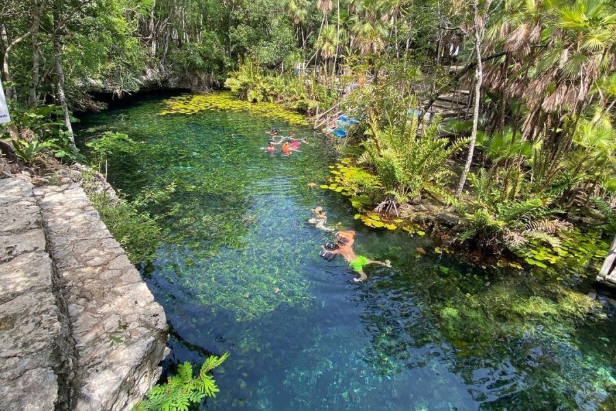 Adventure to 3 Cenotes in the Akumal Jungle