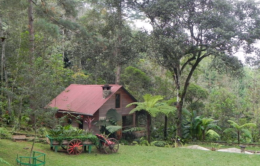 Half Day Shared Tour to an Orchid Sanctuary from Coban