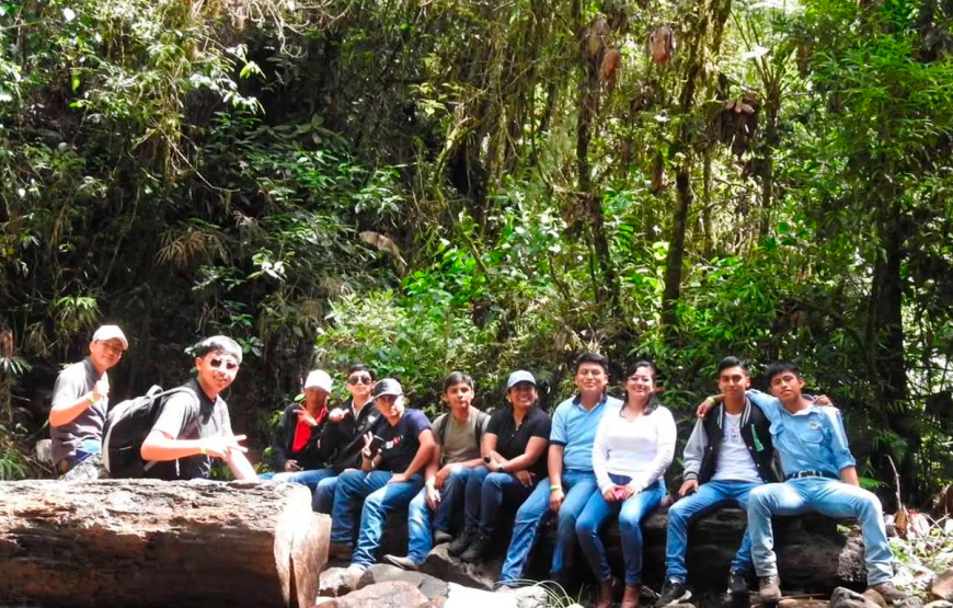 Half Day Tour to The Quetzal Birdwatching Quest from Coban