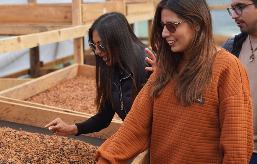 Coffee Plantation Shared Tour by Locals