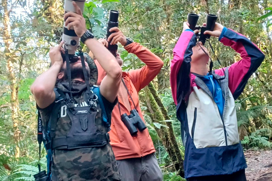 Half-Day Shared Tour to The Quetzal Birdwatching from Coban